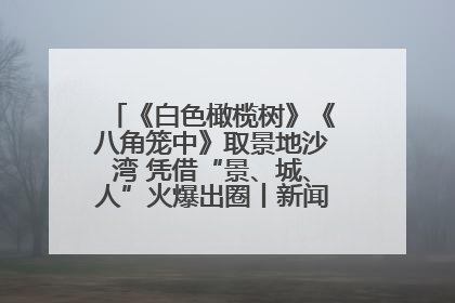 《白色橄榄树》《八角笼中》取景地沙湾 凭借“景、城、人”火爆出圈丨新闻发布最前线