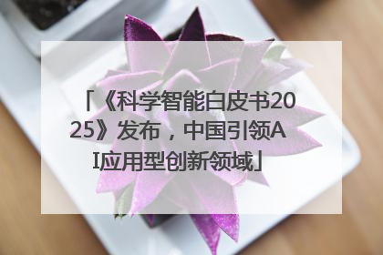 《科学智能白皮书2025》发布，中国引领AI应用型创新领域