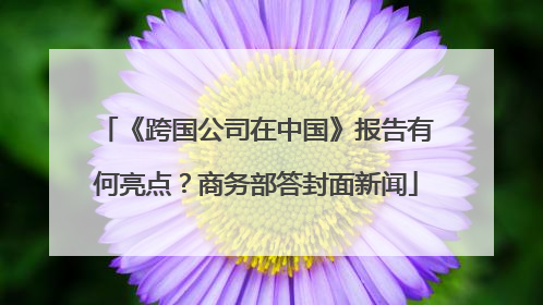 《跨国公司在中国》报告有何亮点？商务部答封面新闻