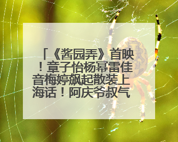 《酱园弄》首映！章子怡杨幂雷佳音梅婷飙起散装上海话！阿庆爷叔气氛组！独独没见他……