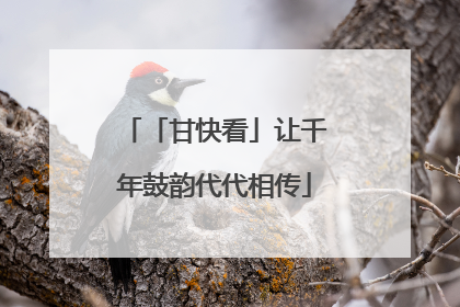「甘快看」让千年鼓韵代代相传