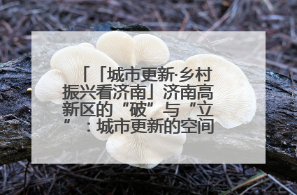 「城市更新·乡村振兴看济南」济南高新区的“破”与“立”：城市更新的空间密码与品质进阶