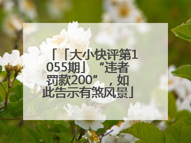 「大小快评第1055期」“违者罚款200”，如此告示有煞风景