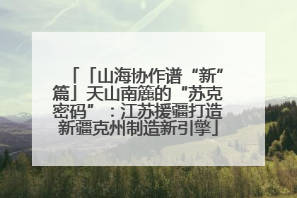 「山海协作谱“新”篇」天山南簏的“苏克密码”：江苏援疆打造新疆克州制造新引擎