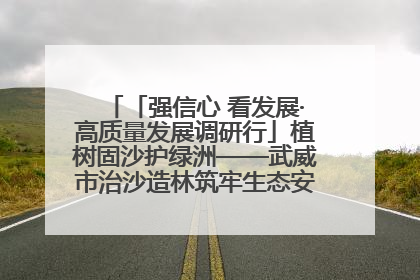 「强信心 看发展·高质量发展调研行」植树固沙护绿洲——武威市治沙造林筑牢生态安全屏障见闻