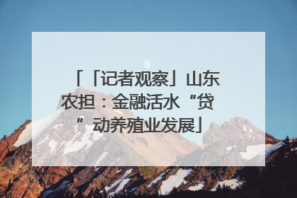 「记者观察」山东农担：金融活水“贷”动养殖业发展