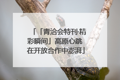 「青洽会特刊·精彩瞬间」高原心跳 在开放合作中澎湃
