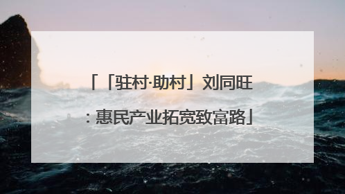 「驻村·助村」刘同旺：惠民产业拓宽致富路