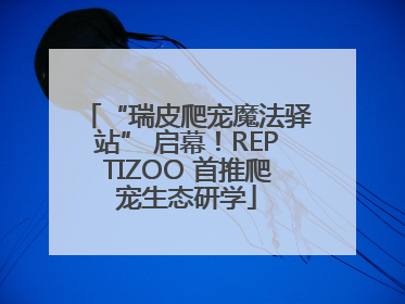 “瑞皮爬宠魔法驿站” 启幕！REPTIZOO 首推爬宠生态研学