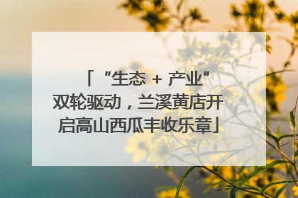 “生态 + 产业”双轮驱动，兰溪黄店开启高山西瓜丰收乐章
