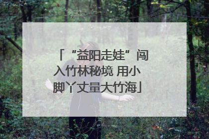 “益阳走娃”闯入竹林秘境 用小脚丫丈量大竹海