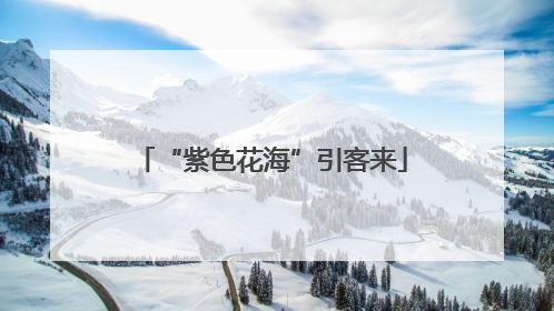“紫色花海”引客来