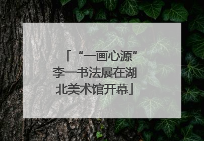“一画心源”李一书法展在湖北美术馆开幕