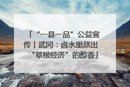 “一县一品”公益宣传丨武冈:卤水里熬出“草根经济”的醇香