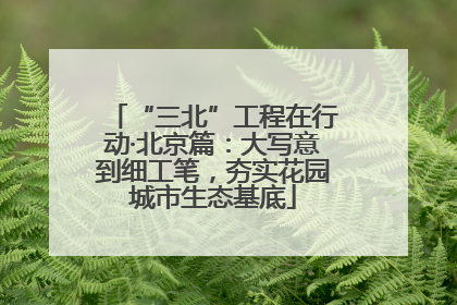 “三北”工程在行动·北京篇：大写意到细工笔，夯实花园城市生态基底