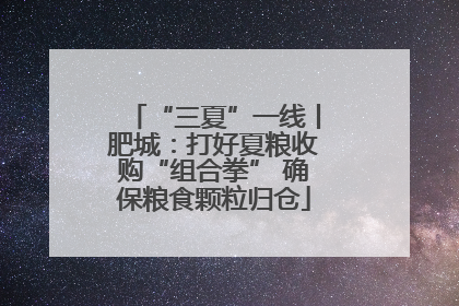 “三夏”一线丨肥城：打好夏粮收购“组合拳” 确保粮食颗粒归仓