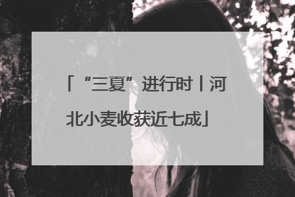 “三夏”进行时丨河北小麦收获近七成