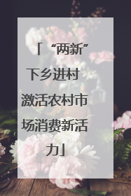 “两新”下乡进村 激活农村市场消费新活力