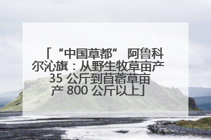 “中国草都” 阿鲁科尔沁旗：从野生牧草亩产 35 公斤到苜蓿草亩产 800 公斤以上
