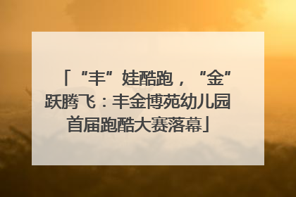 “丰”娃酷跑，“金”跃腾飞：丰金博苑幼儿园首届跑酷大赛落幕