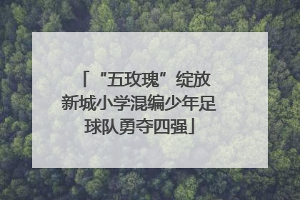 “五玫瑰”绽放 新城小学混编少年足球队勇夺四强