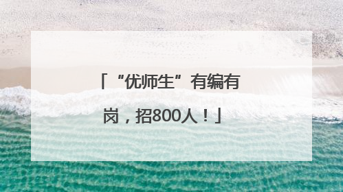 “优师生”有编有岗，招800人！