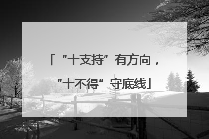 “十支持”有方向，“十不得”守底线
