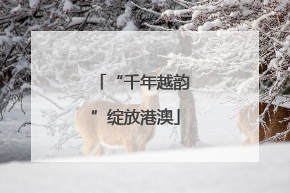 “千年越韵”绽放港澳