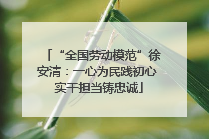 “全国劳动模范”徐安清：一心为民践初心 实干担当铸忠诚