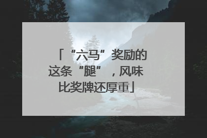“六马”奖励的这条“腿”，风味比奖牌还厚重