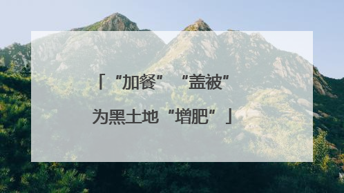 “加餐”“盖被” 为黑土地“增肥”