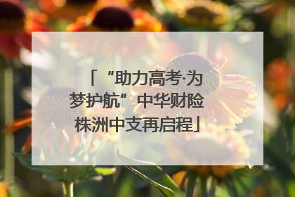 “助力高考·为梦护航”中华财险株洲中支再启程
