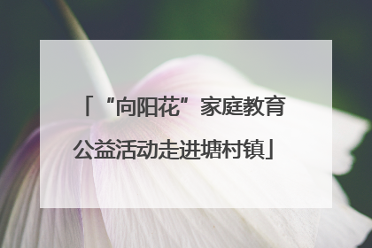 “向阳花”家庭教育公益活动走进塘村镇
