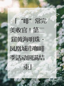 “啡”常完美收官！第二届黄海明珠・凤凰城市咖啡季活动圆满结束