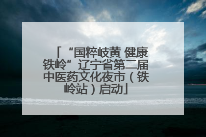 “国粹岐黄 健康铁岭”辽宁省第二届中医药文化夜市（铁岭站）启动