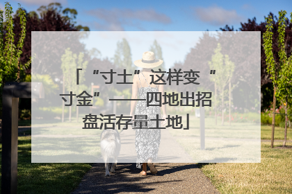 “寸土”这样变“寸金”——四地出招盘活存量土地