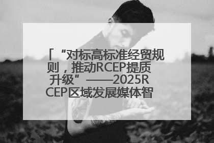 “对标高标准经贸规则，推动RCEP提质升级”——2025RCEP区域发展媒体智库论坛举行专题对话