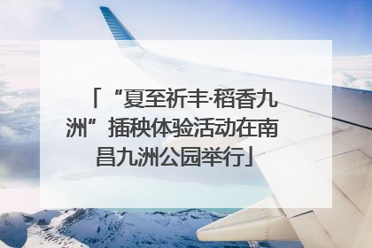 “夏至祈丰·稻香九洲”插秧体验活动在南昌九洲公园举行