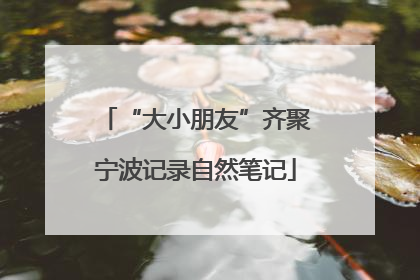 “大小朋友”齐聚宁波记录自然笔记