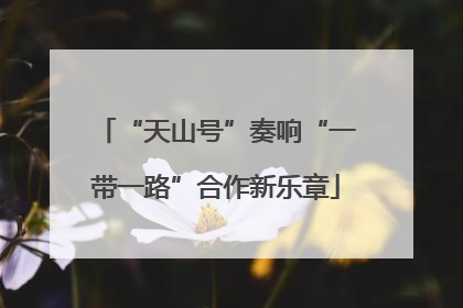 “天山号”奏响“一带一路”合作新乐章
