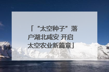 “太空种子”落户湖北咸安 开启太空农业新篇章