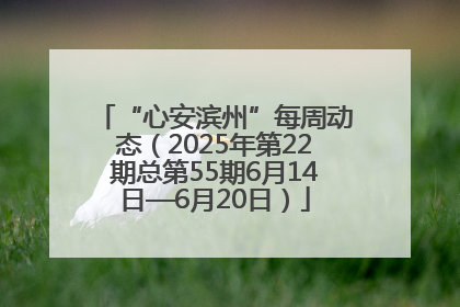 “心安滨州”每周动态（2025年第22期总第55期6月14日—6月20日）