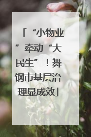 “小物业”牵动“大民生”！舞钢市基层治理显成效
