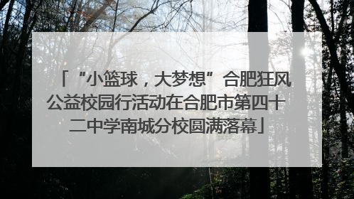 “小篮球，大梦想”合肥狂风公益校园行活动在合肥市第四十二中学南城分校圆满落幕