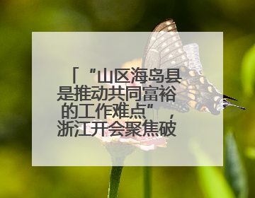 “山区海岛县是推动共同富裕的工作难点”，浙江开会聚焦破解之道