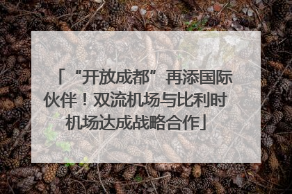 “开放成都”再添国际伙伴！双流机场与比利时机场达成战略合作