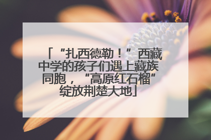 “扎西德勒！”西藏中学的孩子们遇上藏族同胞，“高原红石榴”绽放荆楚大地