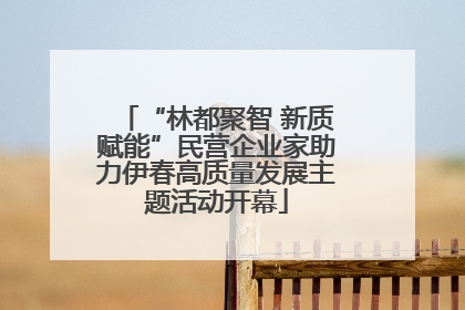 “林都聚智 新质赋能”民营企业家助力伊春高质量发展主题活动开幕