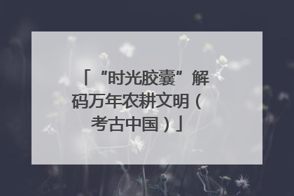 “时光胶囊”解码万年农耕文明（考古中国）