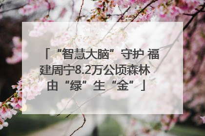 “智慧大脑”守护 福建周宁8.2万公顷森林由“绿”生“金”